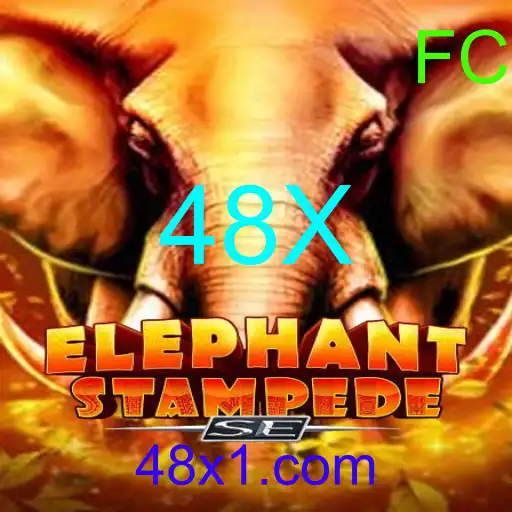 ElephantStampedeSE